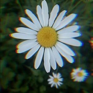 Meet your Posher, Maryanna